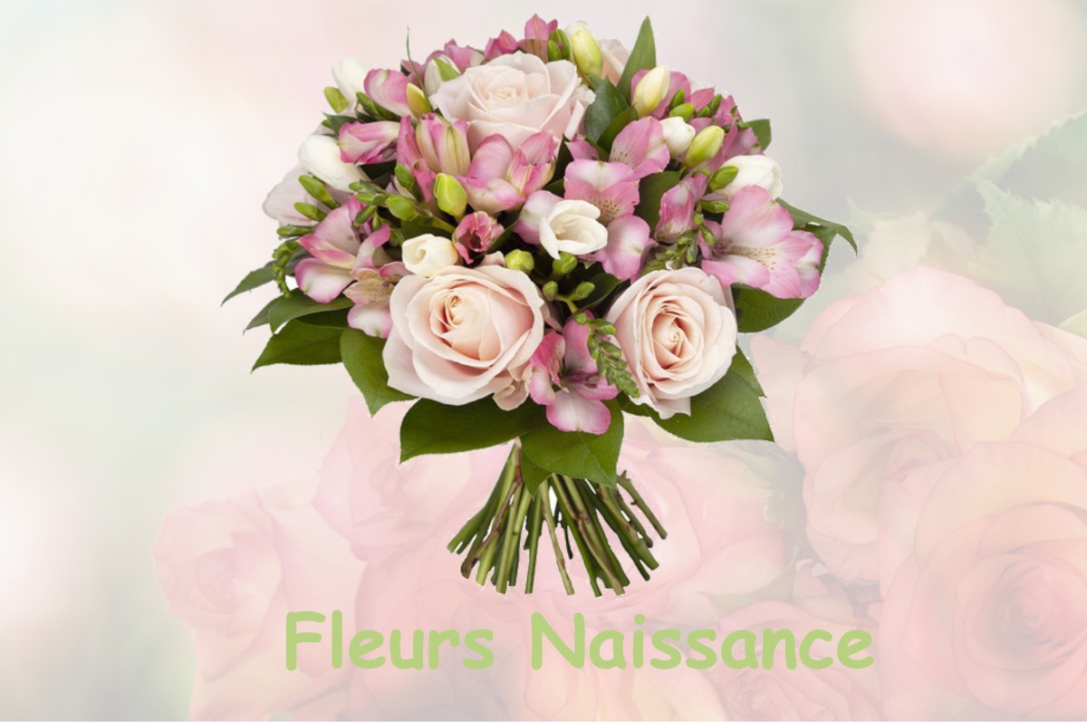 fleurs naissance ESCRENNES