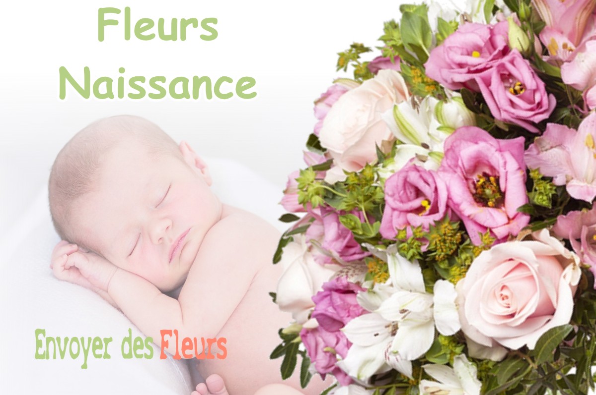 lIVRAISON FLEURS NAISSANCE à ESCRENNES